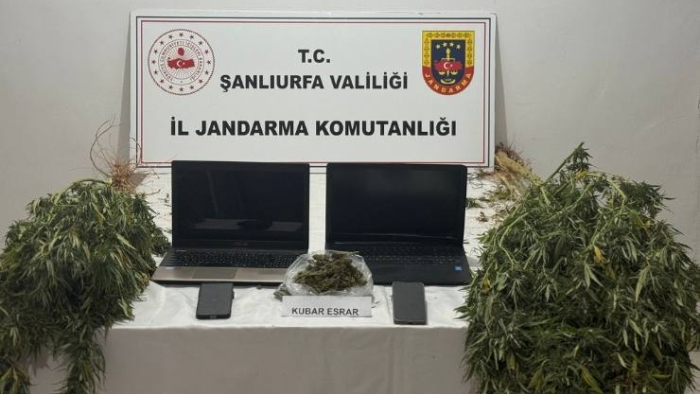 Akçakale’de Jandarmadan Uyuşturucu Operasyonu